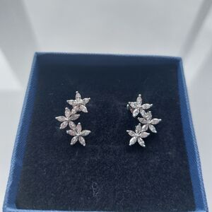 Elegant Silver Floral Earrings